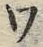字ワ