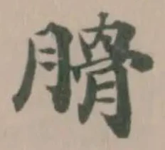 已定位𦞽