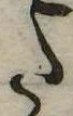 𛁠 위치 확인됨