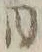 「ル」字