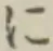 文字に