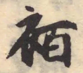 袹の位置