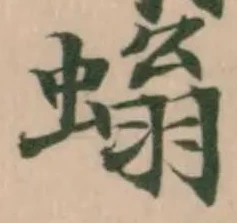 螉 위치 확인됨