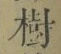 글자 樹
