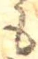 未割り当ての位置