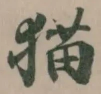 位置 確認된 猫