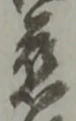 慈 위치 확인됨