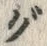 글자 グ