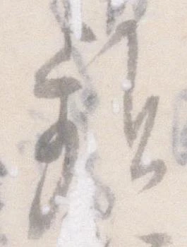 Đã định vị 頻