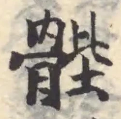 䯗 위치 확인됨