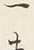 文字一
