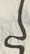𡨸た