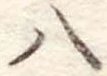 八 위치 확인됨