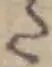 Đã định vị 𛁠