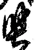堅 위치 확인됨