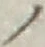 字ノ