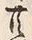 Chữ 共