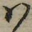 Đã định vị 𛂞