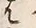 字か