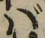 ば 위치 확인됨