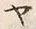 文字ヤ