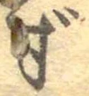 ず 위치 확인됨