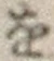 글자 を