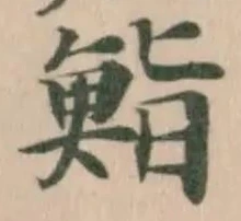 鮨の位置