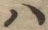 Đã định vị 𛂞