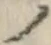 “ノ”字