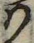 Đã định vị 𛂞