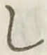 글자 し