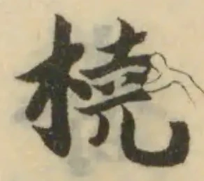 橈の位置
