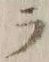 글자 ラ