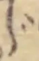 글자 じ