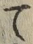 字て