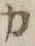 “カ”字