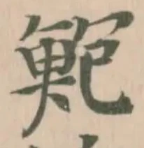 鮑の位置