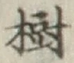 “樹”字