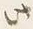 Character 此