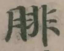 腓の位置