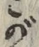 글자 が