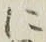 글자 に