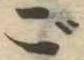ご 위치 확인됨