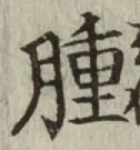 文字腫