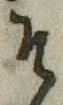 文字 そ