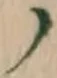 文字 ノ