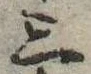 位置 確認된 三