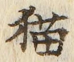 文字 猫