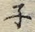 文字ネ